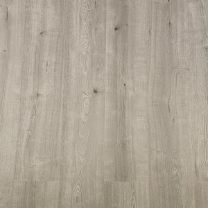 Tasbafloors Homeline A792 Grijs eiken naturel 8.0 Basis Laminaat Tasbafloors Homeline A792 Grijs eiken naturel 8.0 Basis Laminaat