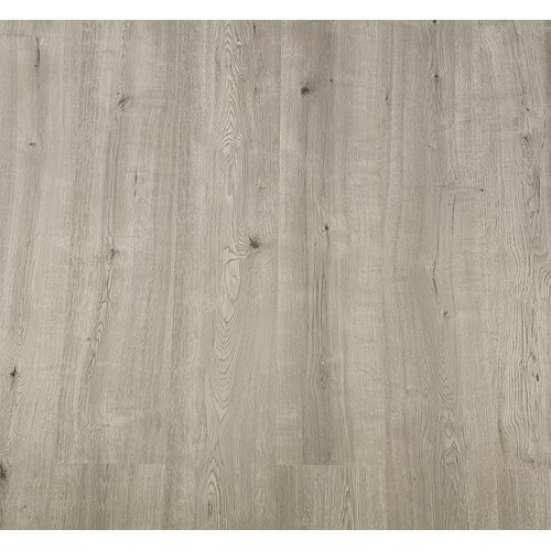 Basics4Home A792 Dalas eik naturel 8.0 Basis Laminaat Basics4Home A792 Dalas eik naturel 8.0 Basis Laminaat