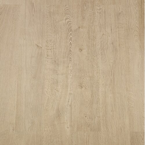 Basics4Home A803 Newport eik naturel 8.0 Basis Laminaat Basics4Home A803 Newport eik naturel 8.0 Basis Laminaat