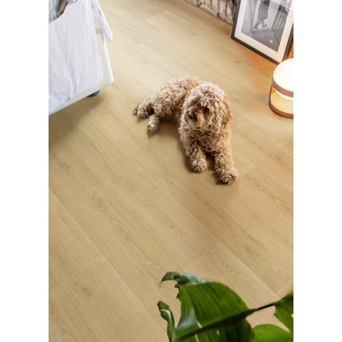 Quick-Step SIG4763 Geborstelde Naturelle Eik Capture Laminaat Quick-Step SIG4763 Geborstelde Naturelle Eik Capture Laminaat