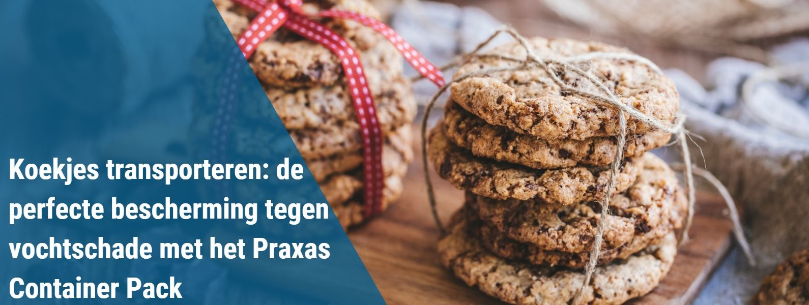 Koekjes transporteren: de perfecte bescherming tegen vochtschade met het Praxas Container Pack