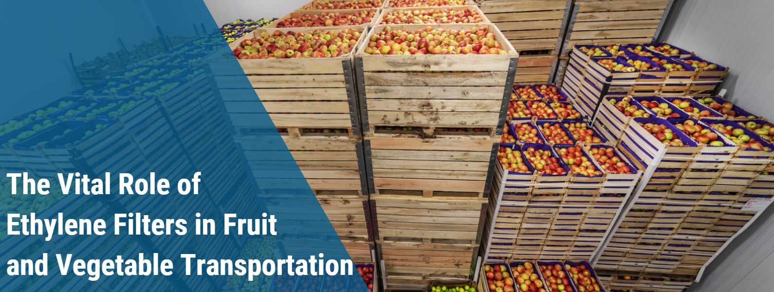 Enhancing Freshness: The Vital Role of Ethylene Filters in Fruit and Vegetable Transportation
