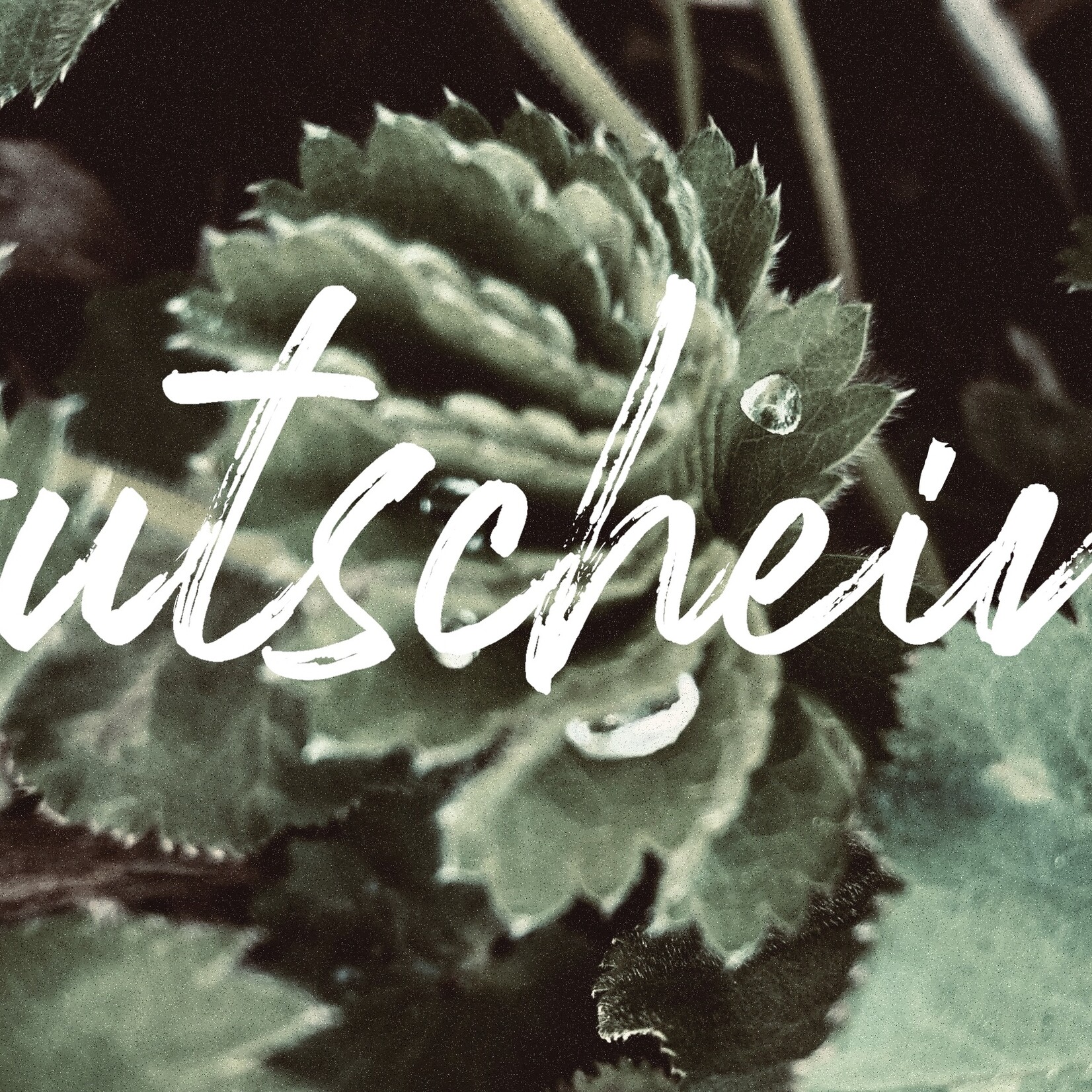 Voucher/ €20, €35, €50, €65