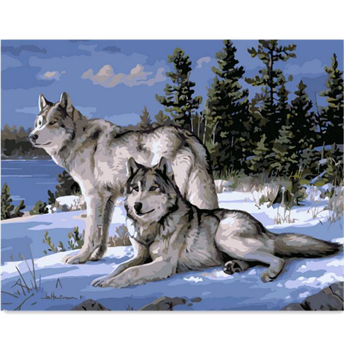 Js Wolf Schilderen Op Nummer Met Olieverf 40X50Cm js kopen in de aanbieding