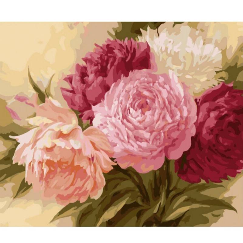 Js Set Op Nummer Schilderen Voor Volwassenen js kopen in de aanbieding