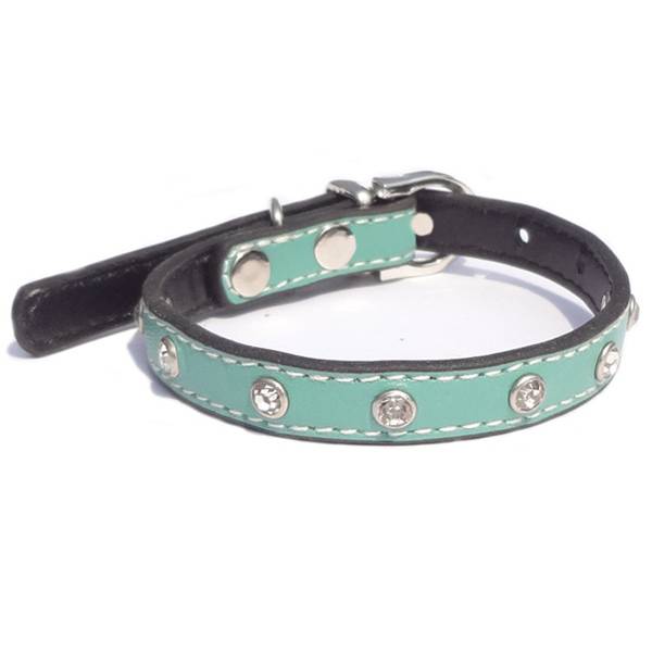 Js Halsband Voor Hond Verstelbaar js kopen in de aanbieding