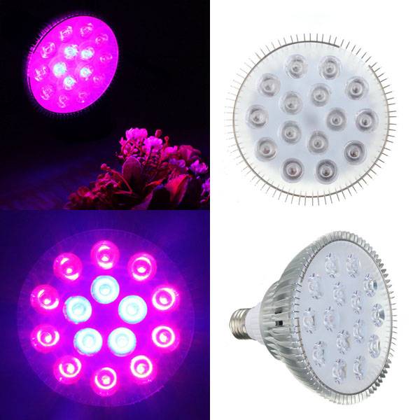 Js Kweek Led Lamp Geeft Paars Licht js kopen in de aanbieding Js Kweek Led Lamp Geeft Paars Licht js kopen in de aanbieding