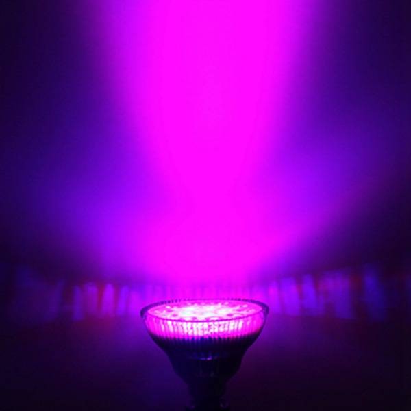 bruiloft Zegenen Booth Kweek LED Lamp Geeft Paars Licht I MyXlshop (SuperTip)
