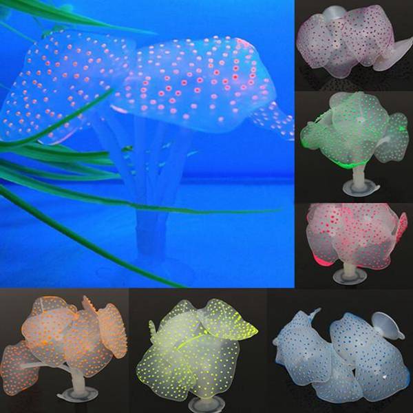 Js Supply Kunstplanten Kopen js supply kopen in de aanbieding Js Supply Kunstplanten Kopen js supply kopen in de aanbieding