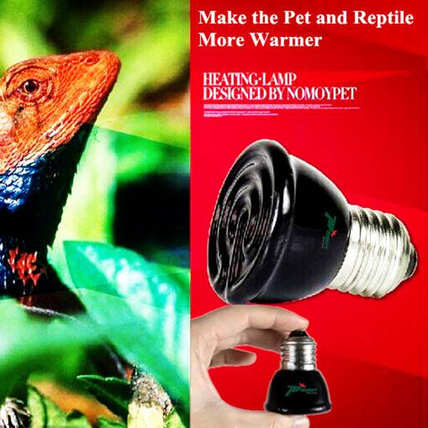 Js Terrarium Lamp In Diverse Verschillende Wattages js kopen in de aanbieding Js Terrarium Lamp In Diverse Verschillende Wattages js kopen in de aanbieding
