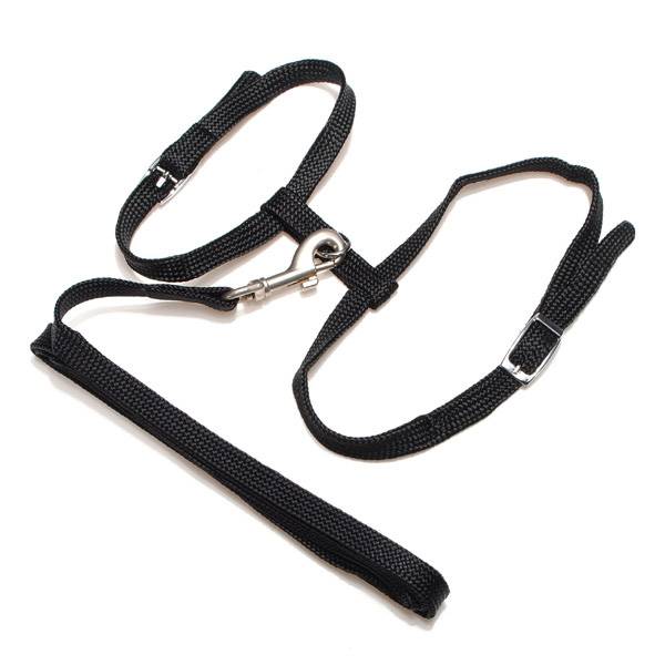 Js Supply Kattentuigje js supply kopen in de aanbieding Js Supply Kattentuigje js supply kopen in de aanbieding