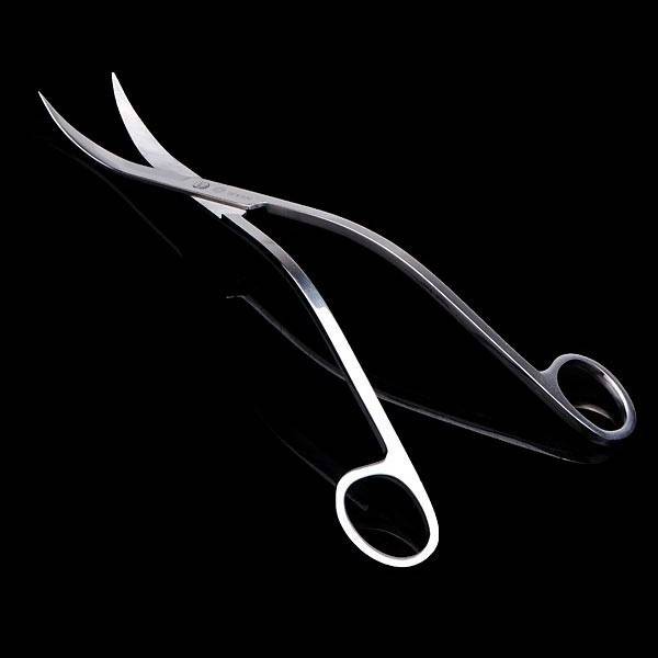 Wynin Gebogen Schaar Voor Aquarium wynin kopen in de aanbieding