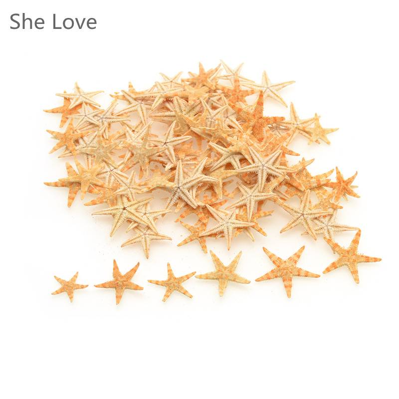 Myxl 100 Stks Mini Zeester Craft Decoratie Natuurlijke Zee Sterren Diy Strand Cottage Wedding Decor myxl kopen in de aanbieding Myxl 100 Stks Mini Zeester Craft Decoratie Natuurlijke Zee Sterren Diy Strand Cottage Wedding Decor myxl kopen in de aanbieding