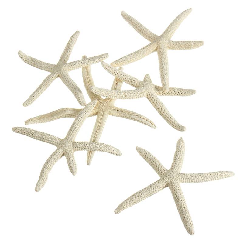 Myxl Kiwarm Overwaarde 6 Stks Witte Vinger Sea Star Zee Vis Strand Coastal Ornamenten Voor Home Party Bruiloft Decoratie Craft5 10 myxl kopen in de aanbieding Myxl Kiwarm Overwaarde 6 Stks Witte Vinger Sea Star Zee Vis Strand Coastal Ornamenten Voor Home Party Bruiloft Decoratie Craft5 10 myxl kopen in de aanbieding