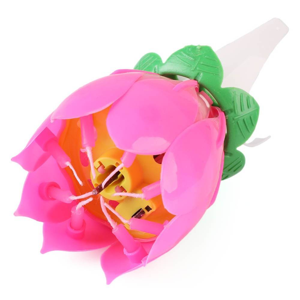 Myxl Koopmagical Sterretje Bloem Muzikale Verjaardag Kaars Party Decoratiebruiloft Decoratie Verjaardagsfeestje Supplies 8Z myxl kopen in de aanbieding Myxl Koopmagical Sterretje Bloem Muzikale Verjaardag Kaars Party Decoratiebruiloft Decoratie Verjaardagsfeestje Supplies 8Z myxl kopen in de aanbieding