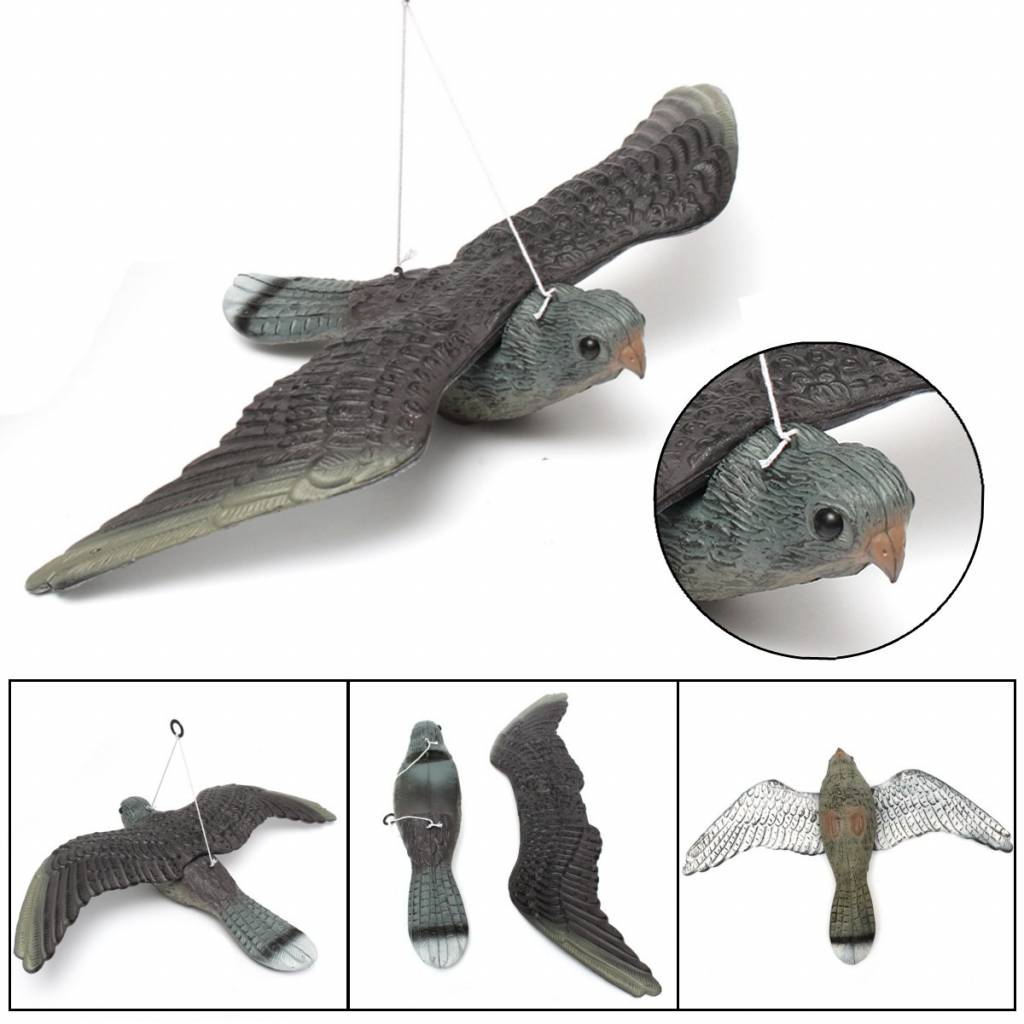 Myxl Vliegende Vogel Hawk Voor Pigeon Decoy Tuin Plant Scarer Ongediertebestrijding Jacht Schieten myxl kopen in de aanbieding Myxl Vliegende Vogel Hawk Voor Pigeon Decoy Tuin Plant Scarer Ongediertebestrijding Jacht Schieten myxl kopen in de aanbieding