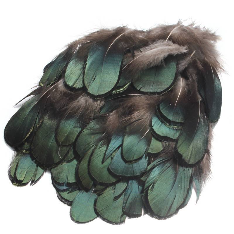 Myxl 50 Stksset Mooie Natuurlijke Groene Fazantveren Voor Ambachten Hoedenzaak Embellishments Diy Handmake Arts Materiaal Accessoires myxl kopen in de aanbieding Myxl 50 Stksset Mooie Natuurlijke Groene Fazantveren Voor Ambachten Hoedenzaak Embellishments Diy Handmake Arts Materiaal Accessoires myxl kopen in de aanbieding
