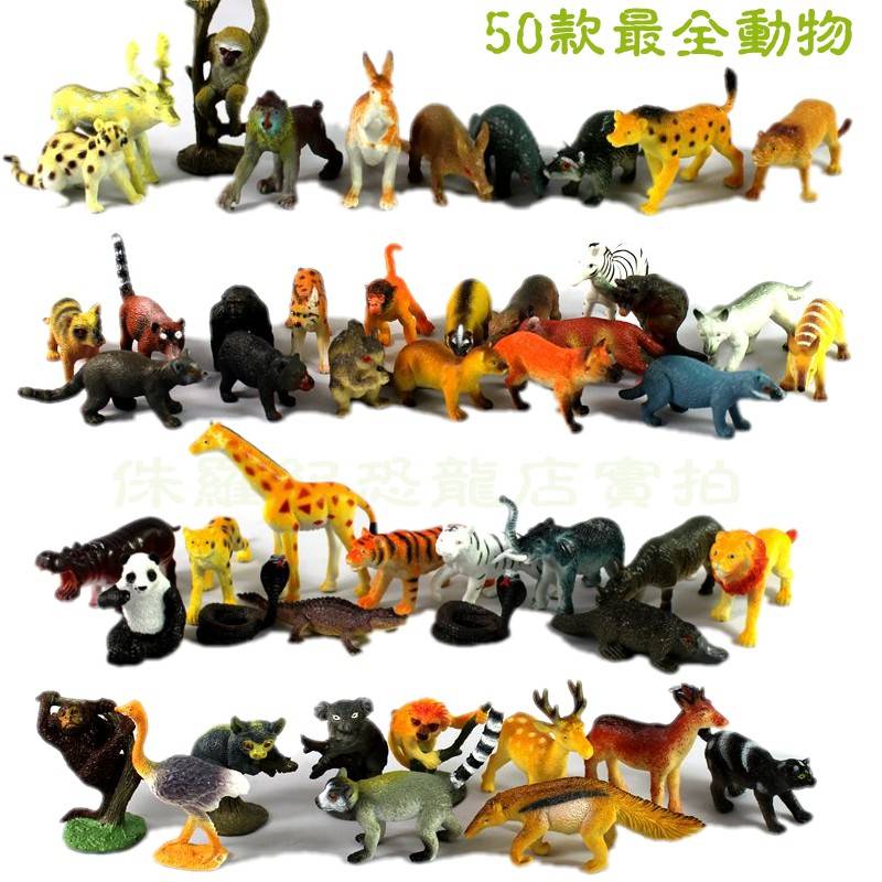 Myxl 50 Stks Kleine Size Land Dieren Model Speelgoed Set Hoge Imitatie Creatures Vroege Onderwijs Kinderen myxl kopen in de aanbieding Myxl 50 Stks Kleine Size Land Dieren Model Speelgoed Set Hoge Imitatie Creatures Vroege Onderwijs Kinderen myxl kopen in de aanbieding