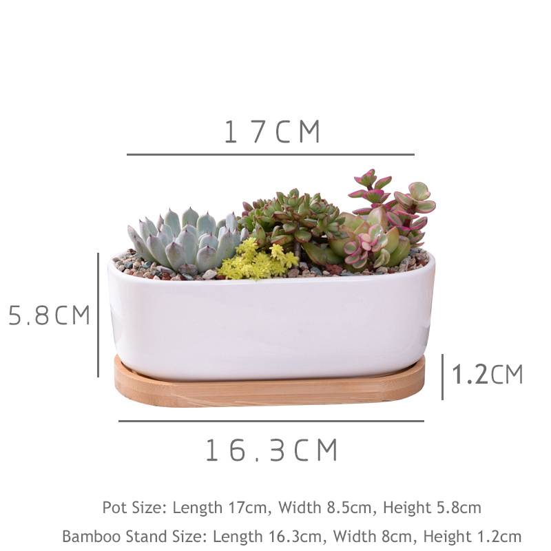 Myxl 1 Set Minimalistische Witte Keramische Vetplant Pot Porselein Planter Decoratieve Desktop Bloempot Home Decor 1 1 Lade myxl kopen in de aanbieding Myxl 1 Set Minimalistische Witte Keramische Vetplant Pot Porselein Planter Decoratieve Desktop Bloempot Home Decor 1 1 Lade myxl kopen in de aanbieding