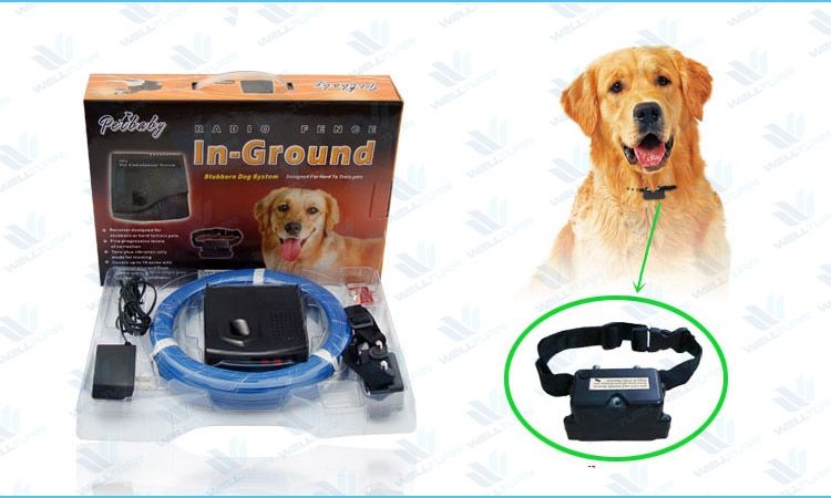 Wellturn Onzichtbare Omheining Honden Training wellturn kopen in de aanbieding Wellturn Onzichtbare Omheining Honden Training wellturn kopen in de aanbieding