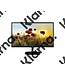 LG 27MP47HQ-P 27" Zwart Full HD PC-flat panel