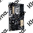 Asus MB  Z170-P D3 / 1151 / SATA-3 / USB3.0 / HDMI / ATX