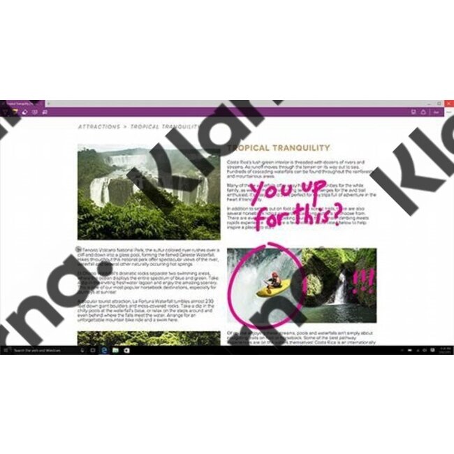 Microsoft Windows 10 Pro