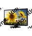 Samsung T28D310EW 27.5" Zwart HD ready