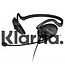 Microsoft LifeChat LX-2000