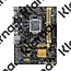 Asus MB  H81M-PLUS / 1150  / SATA-3 / 4 x USB3.0 / DVI / HDMI