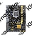 Asus MB  H81M-PLUS / 1150  / SATA-3 / 4 x USB3.0 / DVI / HDMI