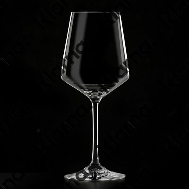 Bergner Masterpro Witte Wijnglazen 390ml - Kristalglas - 2 stuks