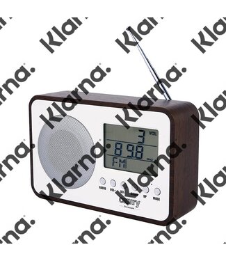 Camry CR1153 - Digitale radio