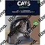 Cats Collection Katten speelset