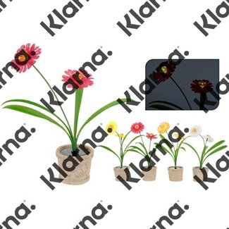 ProGarden 2 Solarbloemen in pot