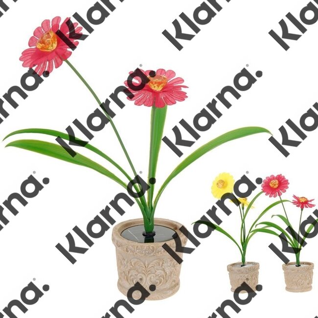 ProGarden 2 Solarbloemen in pot