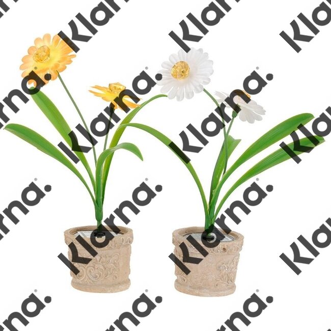 ProGarden 2 Solarbloemen in pot