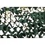 Schaduwdoek Camouflagedoek - Groen - 2x3 m
