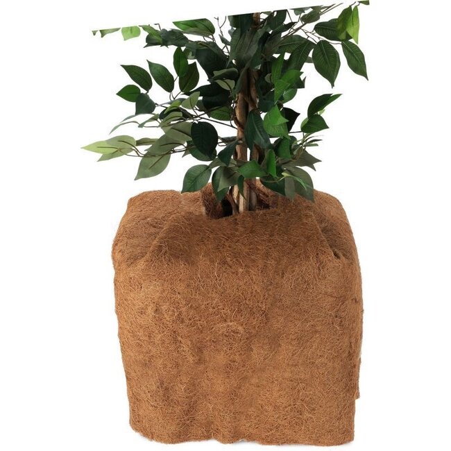 Plantbeschermende Kokosmat - 150x50cm