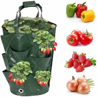 Ceruzo Hangende Kweekzakken - 3 stuks - voor Aardbeien - Tomaten - Kruiden