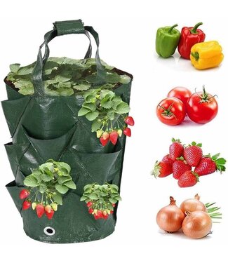 Ceruzo Hangende Kweekzakken - 3 stuks - voor Aardbeien - Tomaten - Kruiden