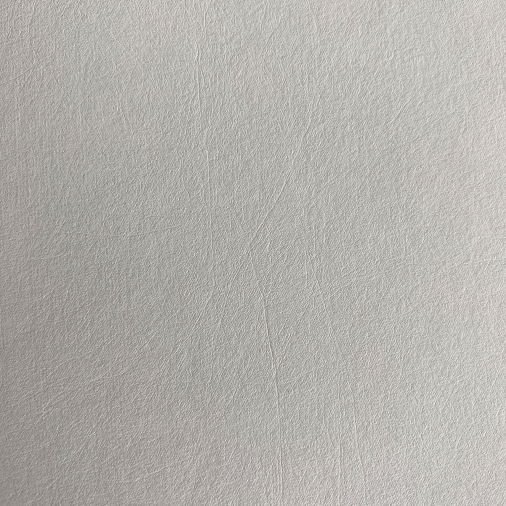 P. Glatzeder GmbH Special item: Evolon® 170 g/m², white, various width