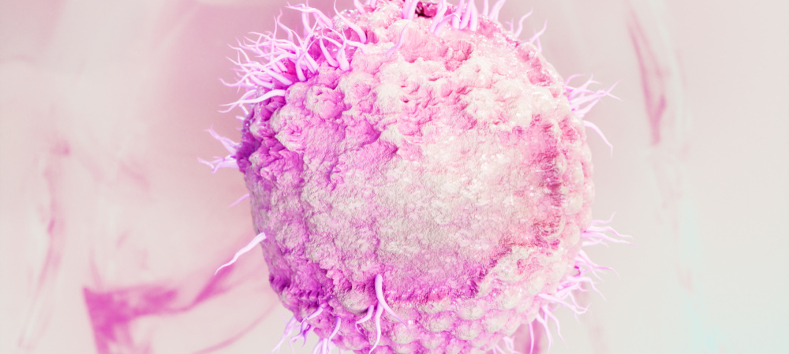 Herpes und Viren vorbeugen
