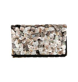 Linoya Clutch Blacklip