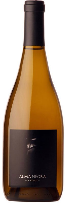 Blanco, Mendoza, 2021, Argentinië, Witte Wijn Blanco, Mendoza, 2021, Argentinië, Witte Wijn