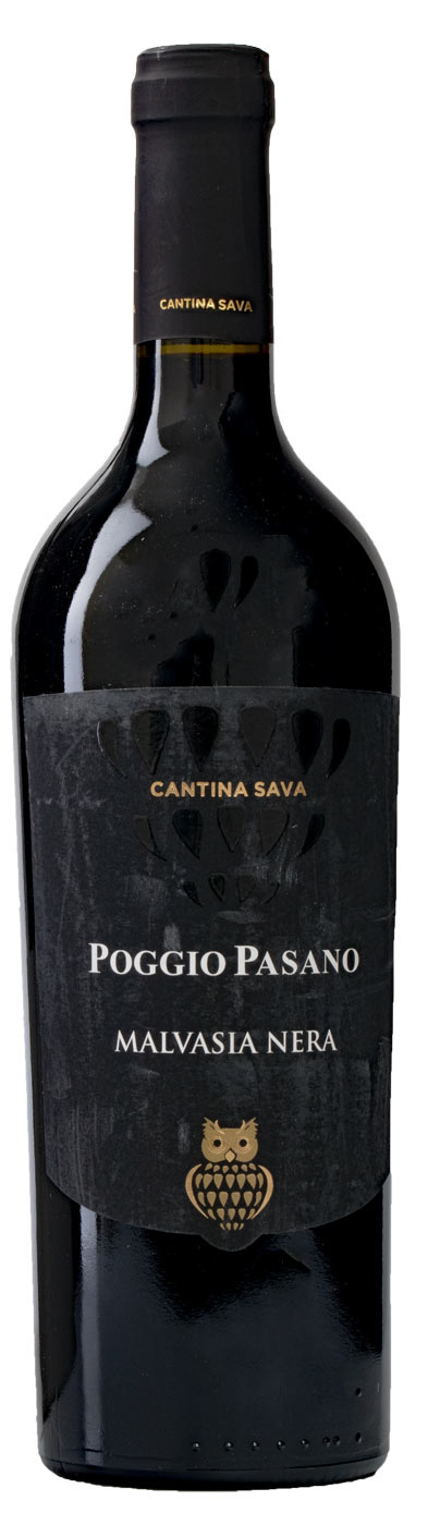 Cantina Sava Poggio Pasano, Malvasia Nera, 2021, Italië, Rode wijn Cantina Sava Poggio Pasano, Malvasia Nera, 2021, Italië, Rode wijn