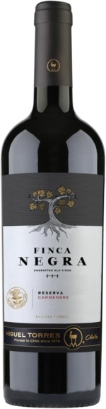Torres Finca Negra Carmenere, 2021, Chili, Rode wijn Torres Finca Negra Carmenere, 2021, Chili, Rode wijn