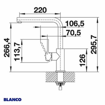 Blanco Keukenkraan BLANCO LANORA RVS geborsteld