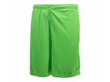 FZ Forza Landers short