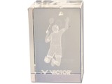Victor Victor Crystal Cup